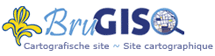 logo BruGIS logo BruGIS